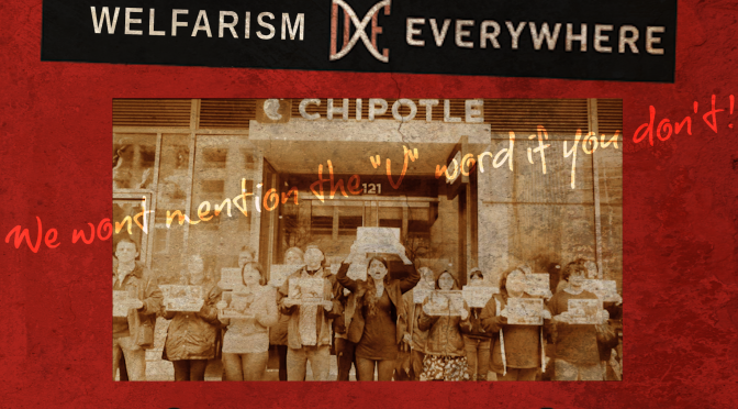 Direct Action Everywhere (DxE): Welfarist or Abolitionist?