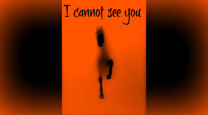 I Cannot See You