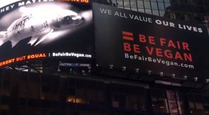 The Eloquent Angel Flinn Discussing the #BeFairBeVegan NYC Billboard Campaign